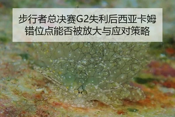 步行者总决赛G2失利后西亚卡姆错位点能否被放大与应对策略