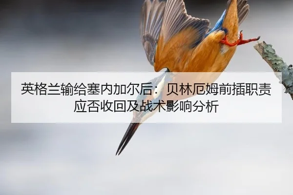 英格兰输给塞内加尔后：贝林厄姆前插职责应否收回及战术影响分析